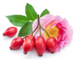Treats: Organic Whole Rosehips for Chinchillas