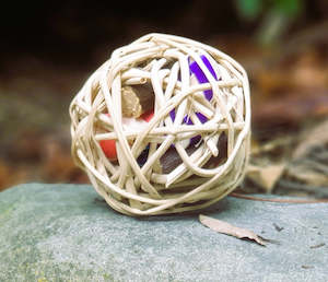Forage Ball with Rosehips & Apple Sticks