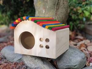 Large Kiln-Dried Pine Rainbow Chinchilla House | Big Enough for Two