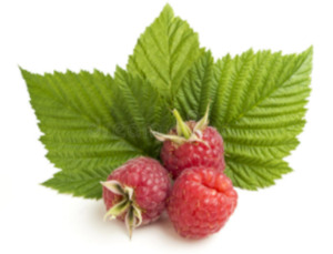 Treats: Organic Raspberry Leaf