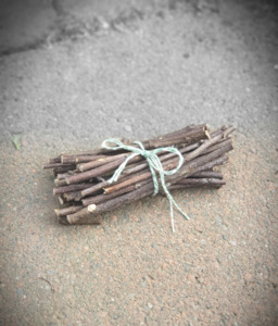 Chew Toys: Organic Apple Sticks 50g | Chinchilla Chews