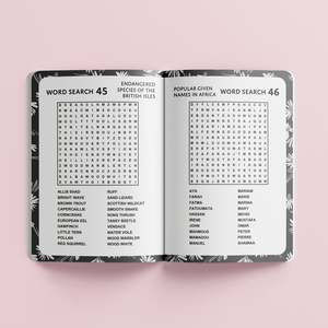 Arts And Crafts For Adults: Perfect Puzzles: Word Search 2