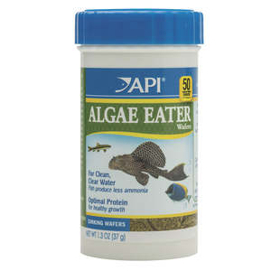 Fish Food: API Algae Eater Wafers