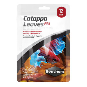 Water Treatments: Catappa Leaves - Medium