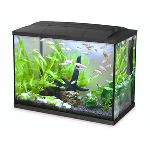 Tanks: Hailea LED Aquarium 60L