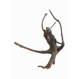 Woods Stones: Spiderwood