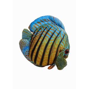 Discus Plushie