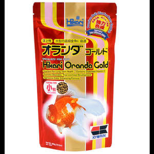 Fish Food: Hikari Oranda Gold Mini Pellet Floating 300gm