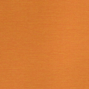 Lomani Calippo theupholstress-site