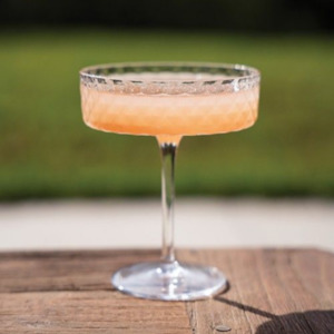 Veneziano Mixology Goblet Champagne Glasses - Set of 4