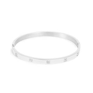 Body: Pure Steel Bangle - Silver