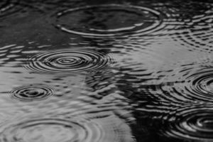 100% local community news for Hauraki and Thames-Coromandel