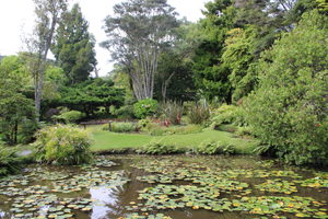 Products: Could you be the next owner of Rapaura Watergardens?