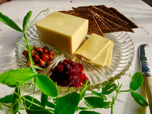 Sourdough Bread and Plant Cheese Sunday 15th March 3-5pm theveggietree