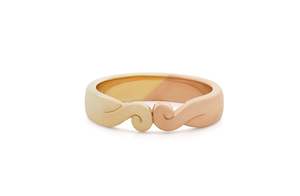 The Narrative Collection: Kotahi: Ring