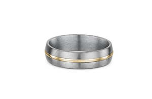 Titanium Ring with Gold Band