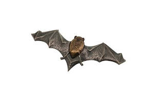 Botanical: Bat Brooch in Brass