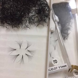 Pre-Made Volume Fans (1000 Fans Tray) Top Selling Pre-made 16D/20D/12D (500 Fans&hellip;