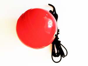 The V Pro Elite: SOFT TRAINING BALL - PRO