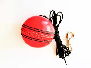 The V Pro Elite: 156gm PINK CRICKET BALL