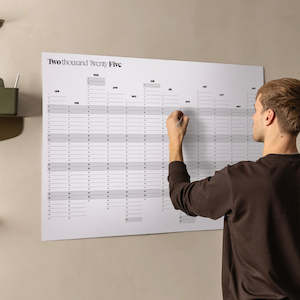 2025 Diary: 2025 YEARLY WALL PLANNER