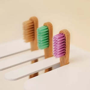 Oral Health: SOLID ORAL | TOOTHBRUSHES