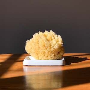 Shaving: TRADITIONAL ENAMEL | SOAP DISH