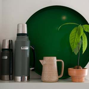 Sale Section: PLANT BUDDIES | THE BIG BUDDY