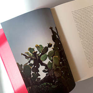 Books: MEXICO: THE COOKBOOK