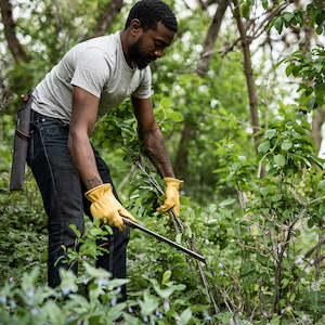 Barebones: BAREBONES | JAPANESE NATA TOOL