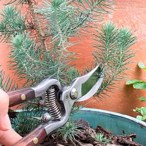 Burgon Ball: BURGON & BALL | SECATEURS