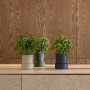Wooden Utensils: CRUSHGRIND BILLUND SELF WATERING POT