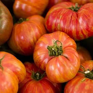 Best Selling Garden Outdoor: LITTLE SUN SEEDS | HERITAGE TOMATO