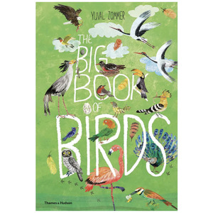 For The Home: THE BIG BOOK OF BIRDS | YUVAL ZOMMER