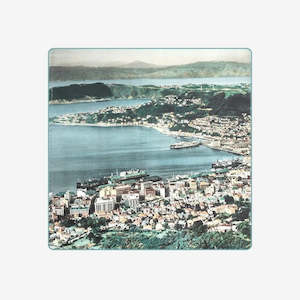 Coolest Capital: Whites Aviation Cushion Cover, Wellington