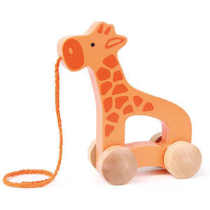 Giraffe Push & Pull Toy