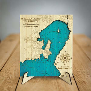 Coolest Capital: Wellington Harbour 3D Hydrographic Chart Mini