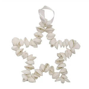 Christmas: Shell Star Arca Wreath