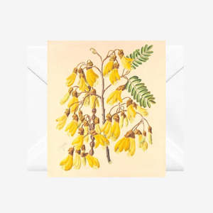 Sarah Featon Yellow Kowhai - Greeting Card