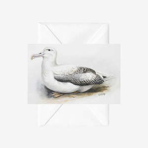 Aotearoa: George Lodge Albatross - Greeting Card