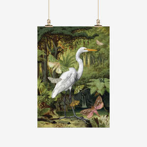 Aotearoa: Vintage Tea Towel