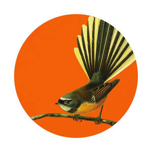 Aotearoa: Bright Fantail Art Spot