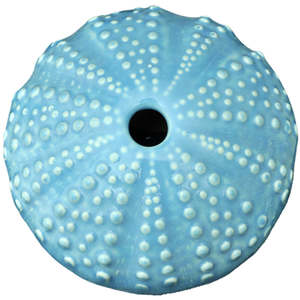 Ceramic Kina