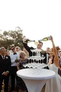 Champagne Saucers