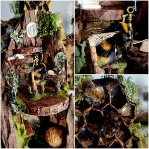 Oddities Specimens Collectibles: The Working Bee