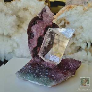 Amethyst Caves: Amethyst Flower with Mounted Selenite Slab 590g