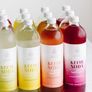 Kefir Soda Mix Box 750ml x 12
