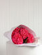 The "Seasons Best Hydrangeas"