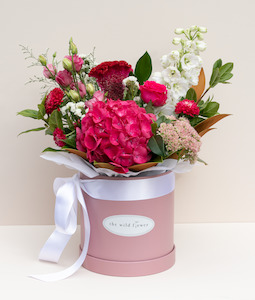 All: The "Limited Edition Box"