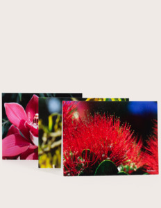 Christmas: Specialty Gift Cards